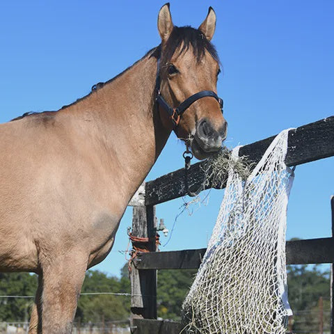 Bainbridge Hay Net - Dual Anchor