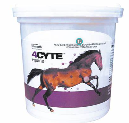 4 Cyte Granules 700gm