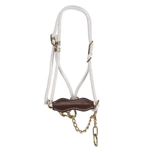 Breaking In Halter w/NB Cow