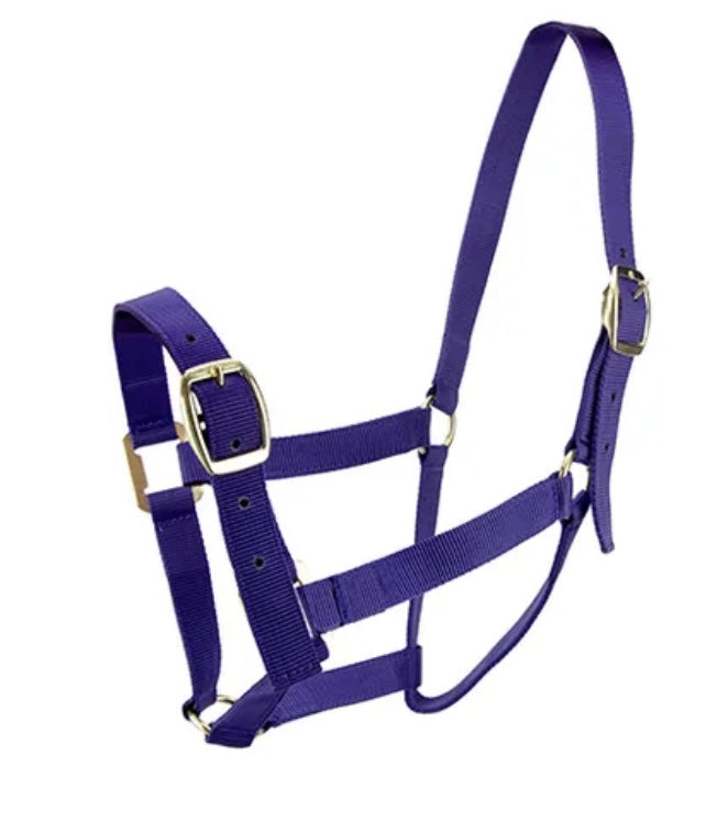 Bainbridge Horse Halter Full Purple