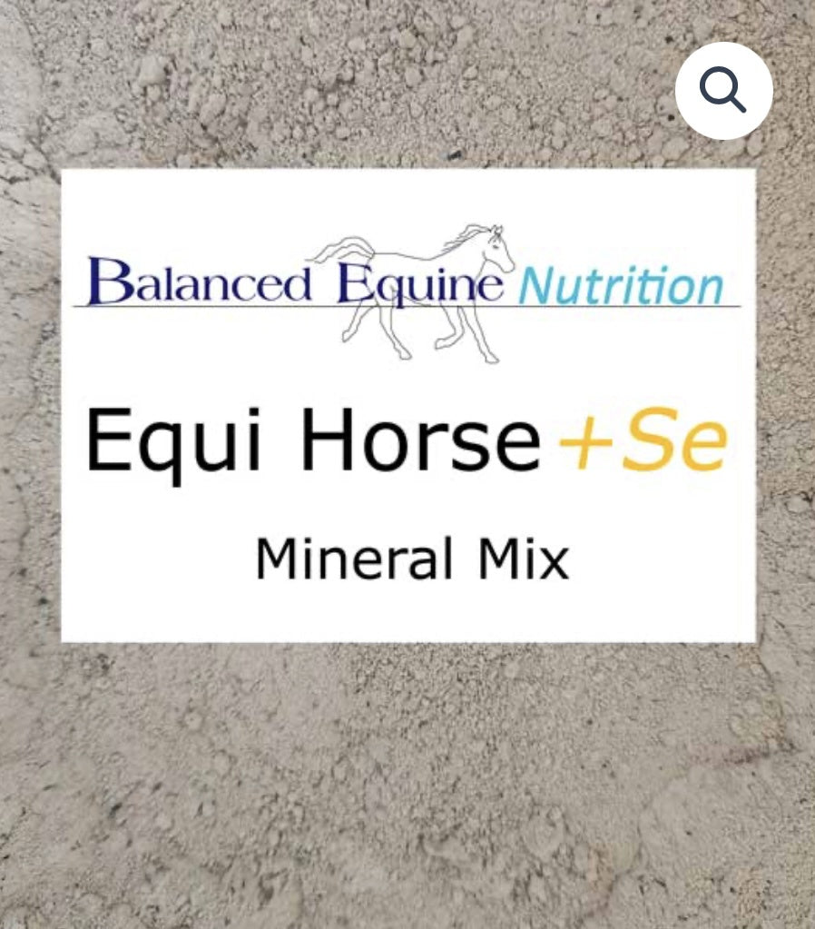 Balanced Equine Equi Horse 2.9kg