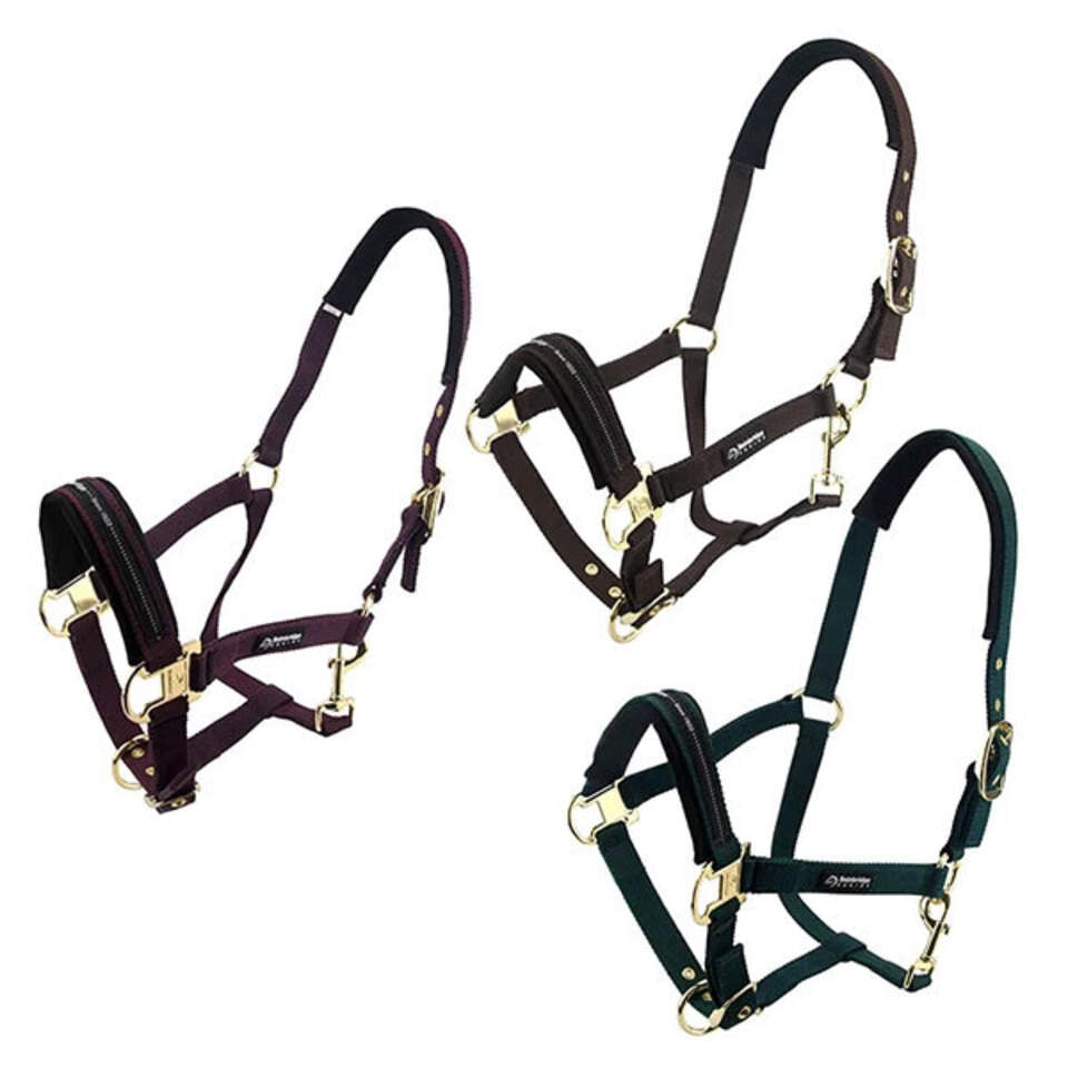 Bainbridge Horse Halter Full - Blue
