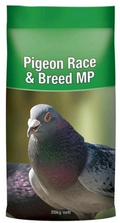 Pigeon Race Breeder