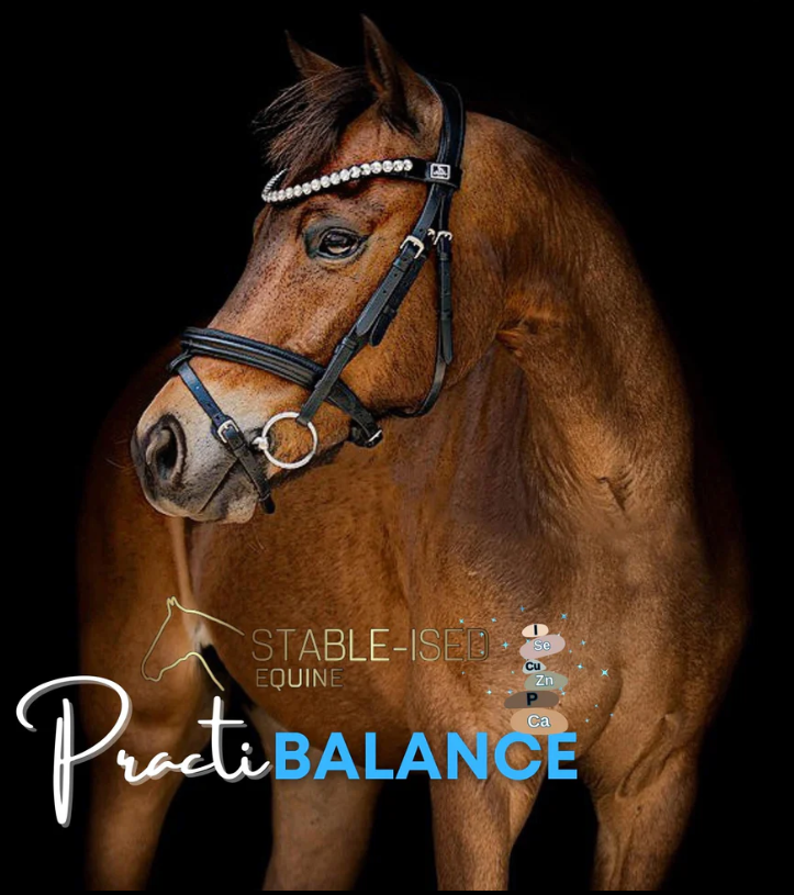 Stable-Ised PractiBALANCE 20kg