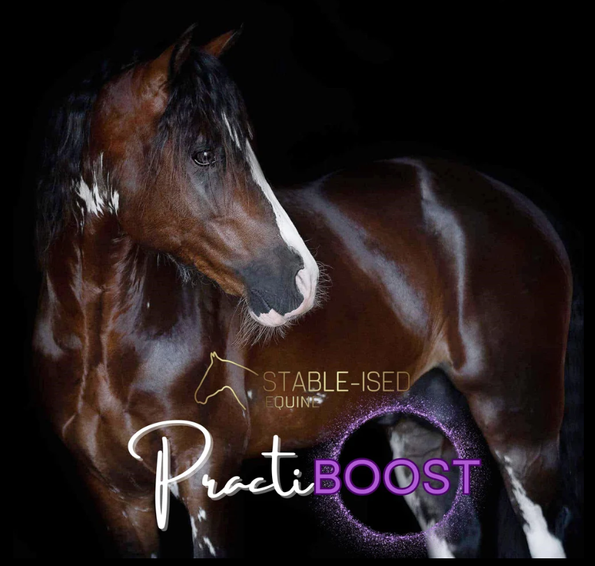 Stable-Ised PractiBOOST 1.5kg