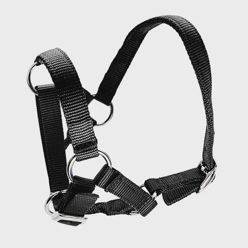 Alpaca Halters - Black