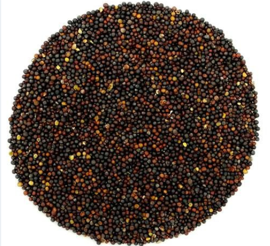 Triangle Canola Seed 25kg