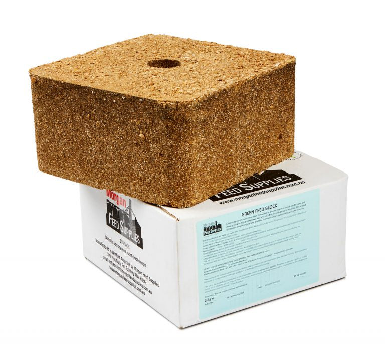 MORGAN Green Feed Block 20kg