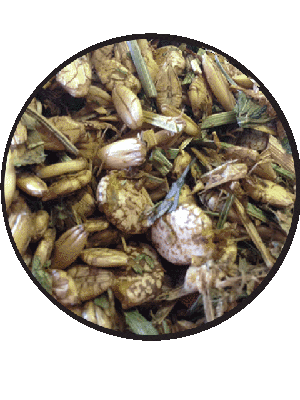 Goat Muesli (25kg) T&R