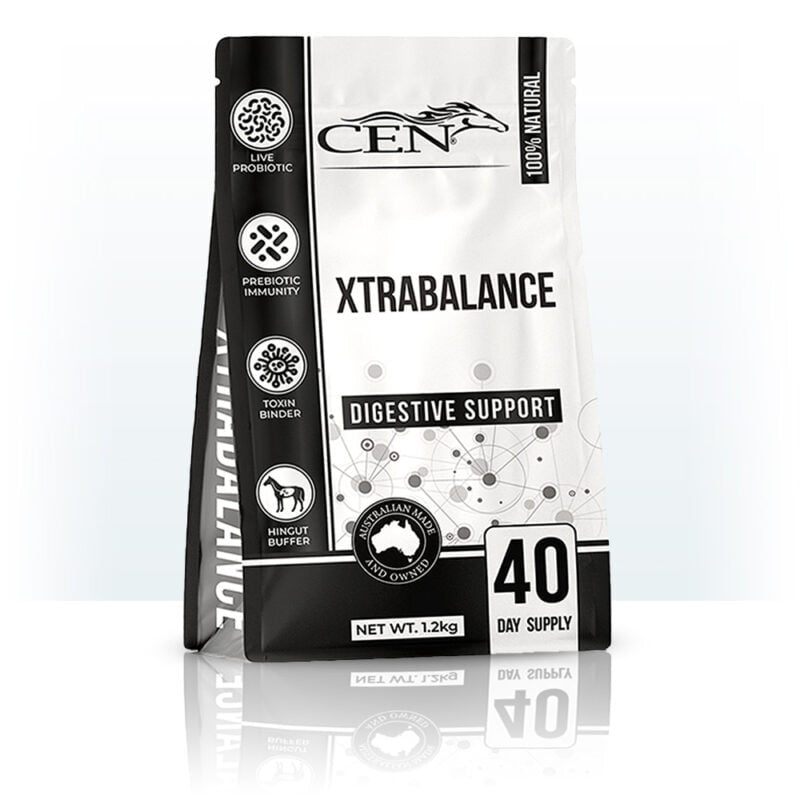 CEN XtraBalance 1.2kg