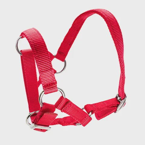 Alpaca Halters - Red