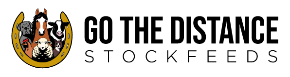 Go The Distance Stockfeeds