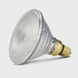 Infrared Light Bulb - Phillips