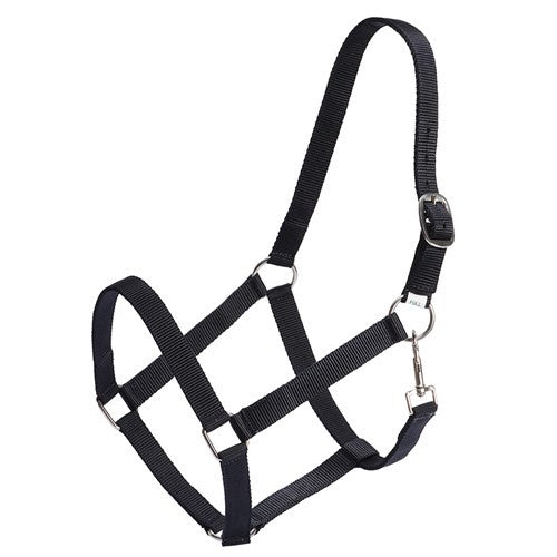 Rancher Stable Halter - Various Colours