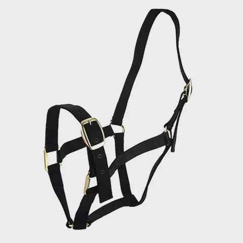 Bainbridge Horse Halter Cob