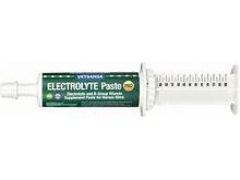 CM Labs Electrolyte Paste 60ml