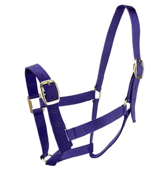 Bainbridge Horse Halter Full Purple