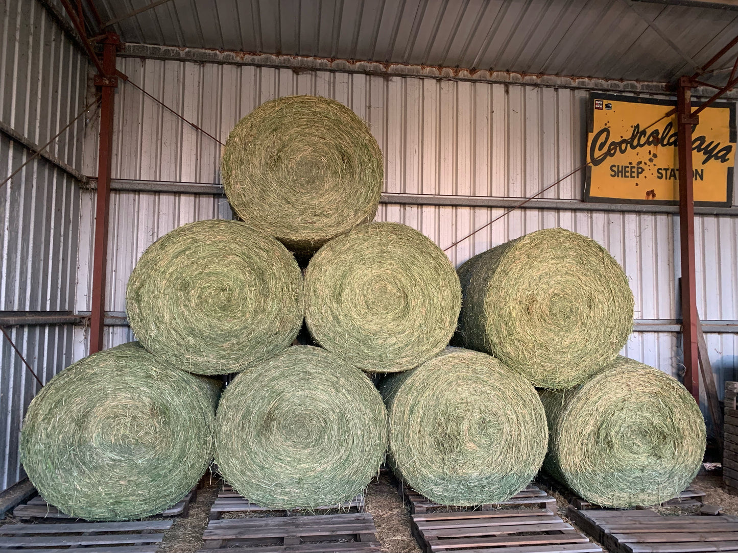 Lucerne 4ft roll