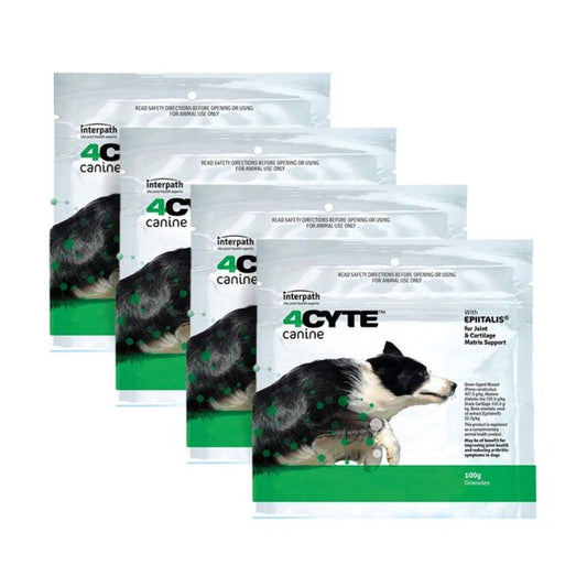 4 Cyte Canine Sachet 100gm