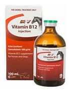 NV Vitamin B12 Injection 100ml