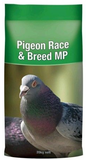 Pigeon Race Breeder
