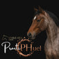 Stable-Ised PractiPhuel 4.9 kg