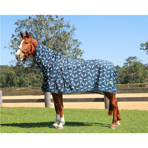 Fly Mesh Horse Rug Combo