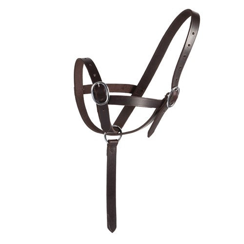 Foal Catching Halter Weanling