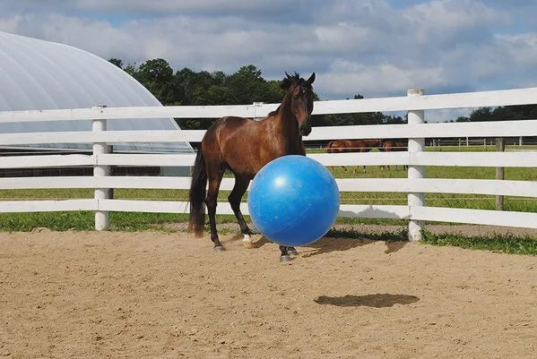 Mega Horse Ball & Cover Set Blue Small 25"