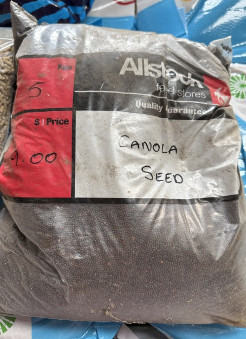 Canola Seed 5kg