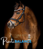 Stable-Ised PractiBALANCE 5kg