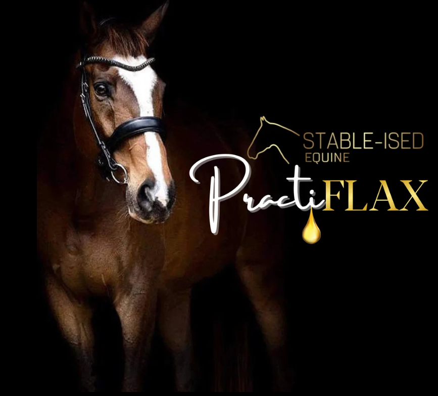 Stable-Ised PractiFLAX 4.5l