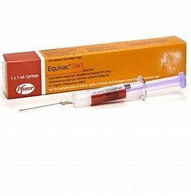 Zoetis Equivac 2in1 1ml Syringe