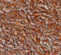 Linseed Whole 20kg