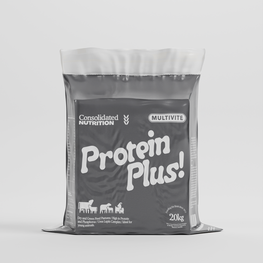 Multivite  Green Feed/Dairy Block -Magnesium