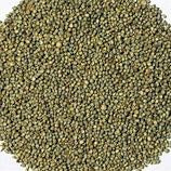 Millet Japanese (AUS) 20kg