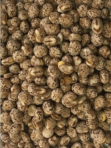 Lupins Whole Australian 20kg