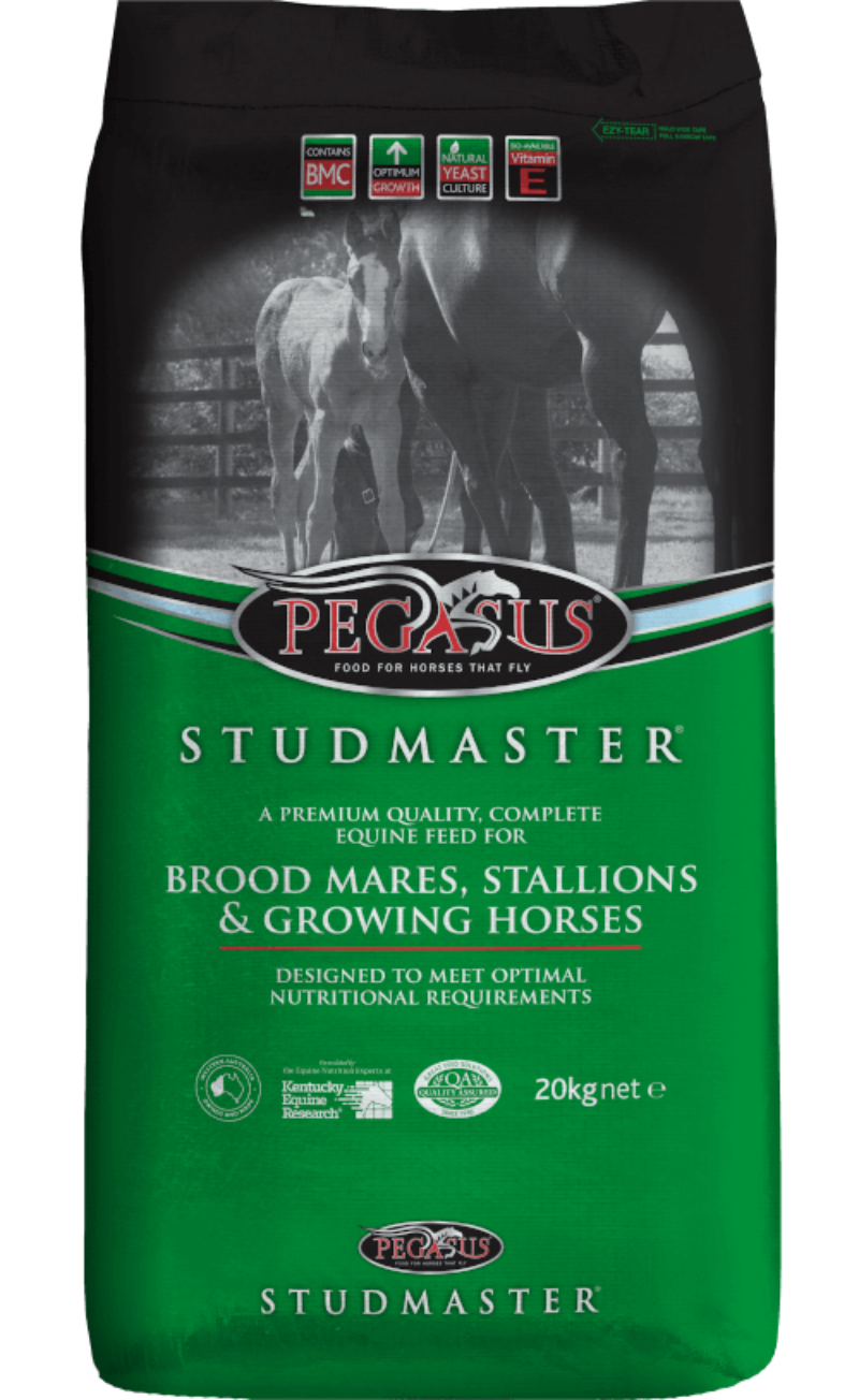 Pegasus StudMaster