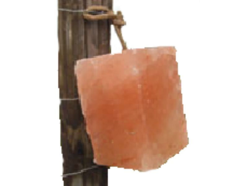 Minrosa Himalayan Salt Lick Block with Rope