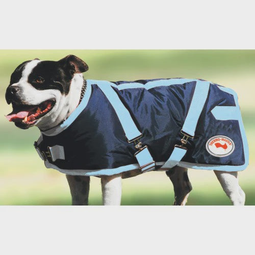 Supreme Dog Coat Navy/baby blue