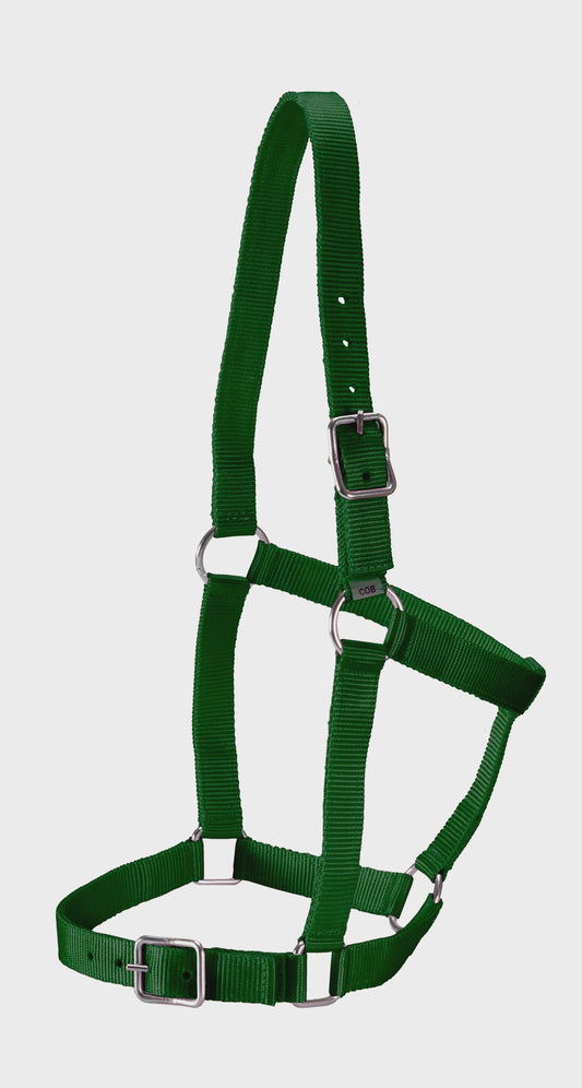 Rancher Deluxe Foal Halter