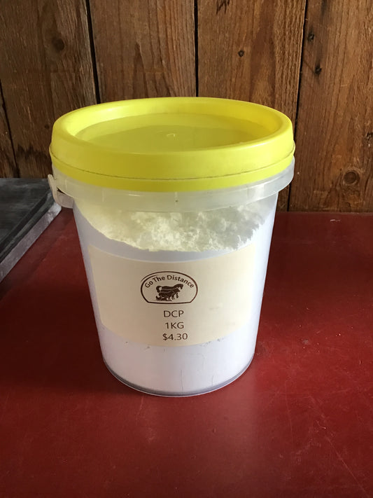 DCP (Dicalcium Phosphate) Bucket 1kg